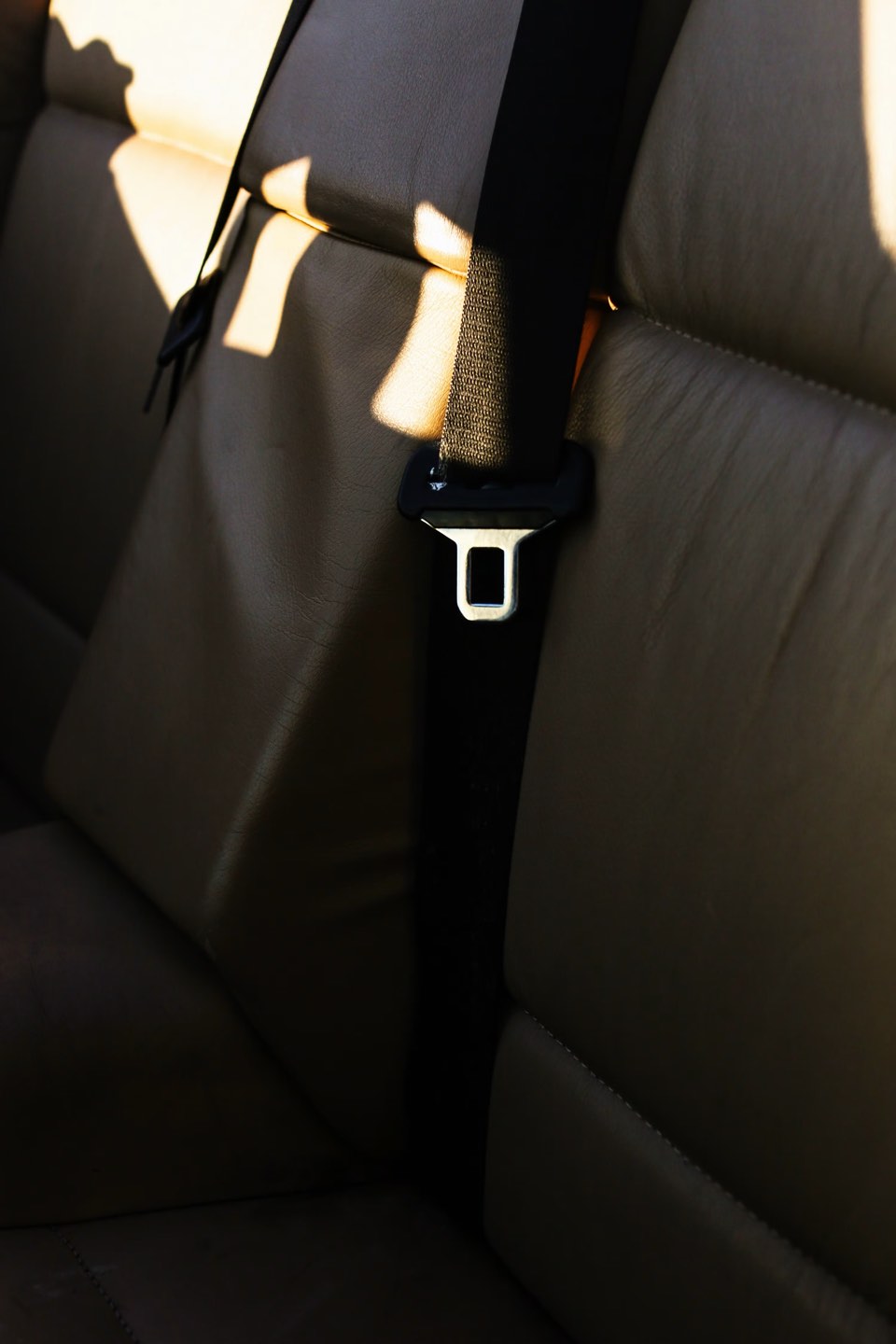 Rear seat belt webbing and latch plate against a leather seat, lit by low evening sunlight.